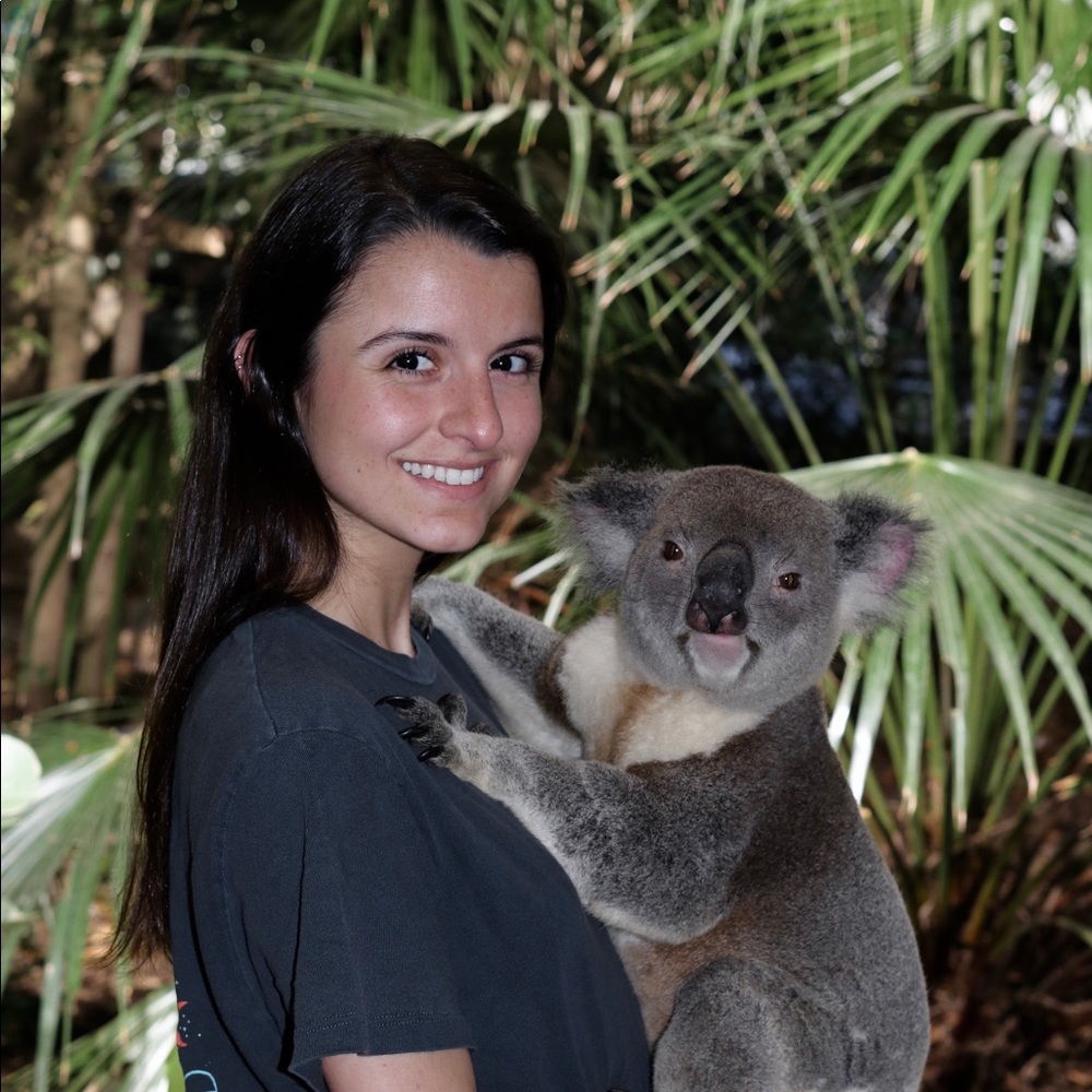 Meet your Posher, Lauren